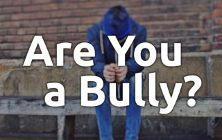Are You a Bully - Steve Zanella